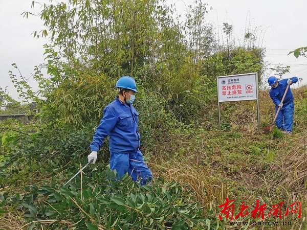 国网南充供电公司:多措并举防森林火灾 有效治理保电网安全